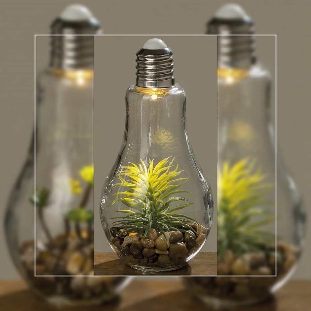 Homedeco Light Up Terrarium